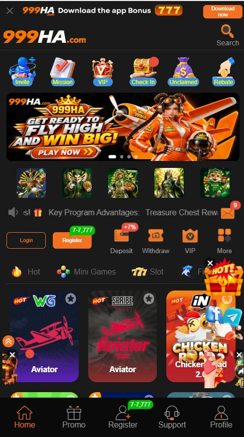 999HA Game